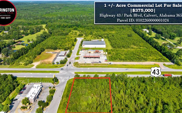 Pictures of Land property located at Highway 43, Calvert, AL 36560 for sales - image #1