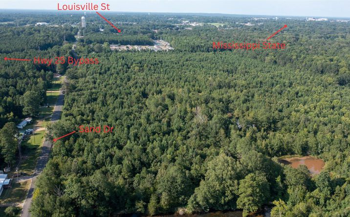 Pictures of Land property located at 42 acres East side Sand Rd, Starkville, MS 39759 for sales - image #1