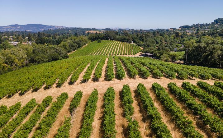 Pictures of Land property located at 1250 Partrick Road, Napa, CA 94558 for sales - image #1