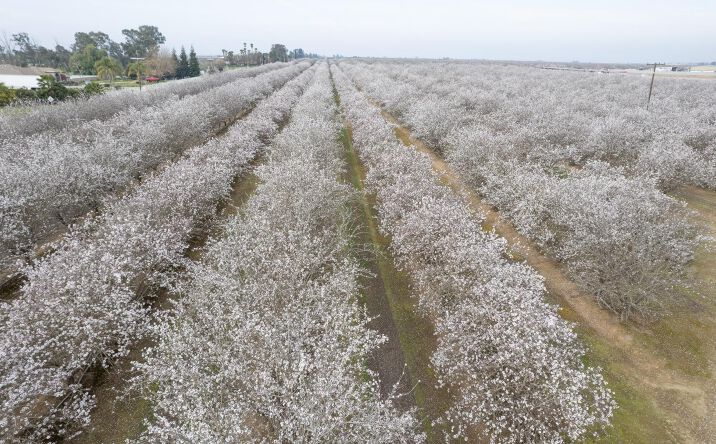 Pictures of Land property located at 0 APN 029-190-022-000, Madera, CA  93637, Berenda, CA 93637 for sales - image #1