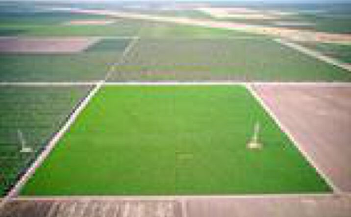 Pictures of Land property located at 0 APN 030-111-18,San Joaquin, CA  93660, San Joaquin, CA 93660 for sales - image #1