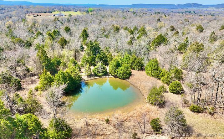 Pictures of Land property located at HWY 26, Keota, OK 74941 for sales - image #1