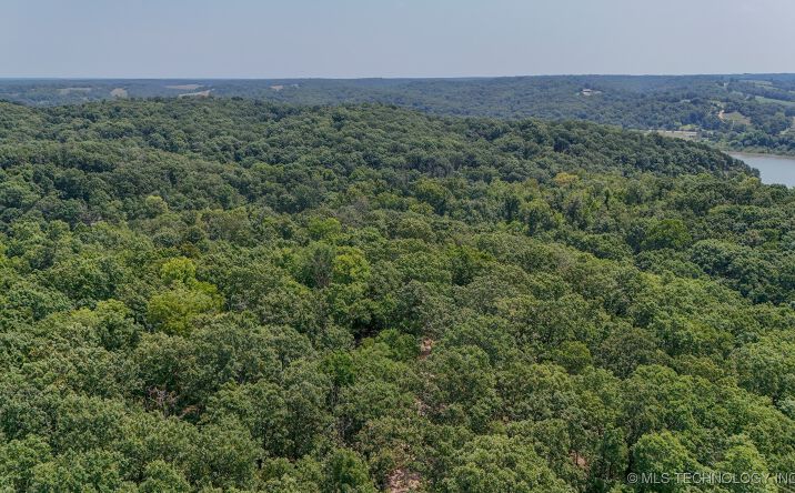 Pictures of Land property located at 180 E Wyandotte Road, Wyandotte, OK 74370 for sales - image #1