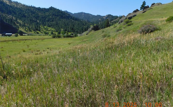 Pictures of Land property located at Lot 003 Pioneer Trail Lane Lot 003, Cascade, MT 59421 for sales - image #1