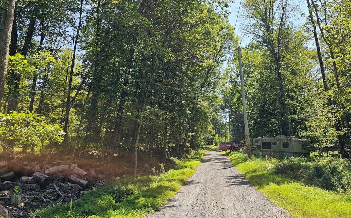 Pictures of Land property located at Lot 50 Deep Hollow Hill Road, Tusten, NY 12764 for sales - image #1