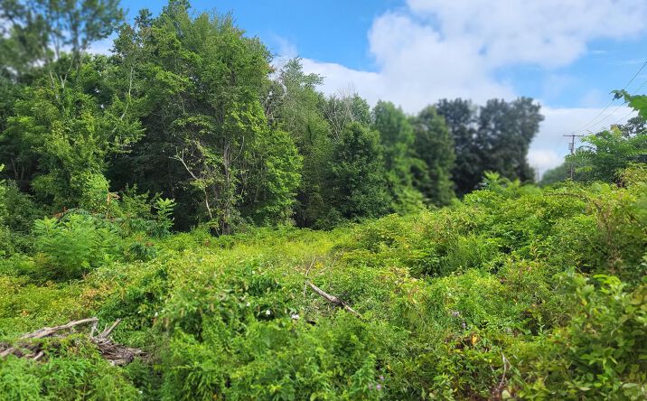 Pictures of Land property located at W NYS RTE 208 Highway (Bona Ventura) Avenue, Shawangunk, NY 12589 for sales - image #1