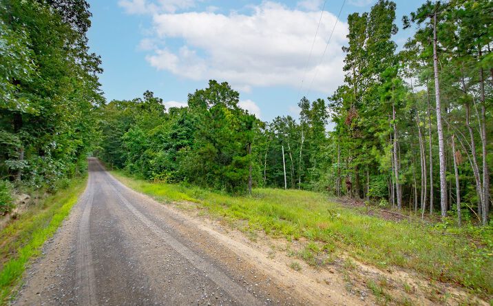 Pictures of Land property located at 441 Holly Leaf Road, Bee Branch, AR 72013 for sales - image #1
