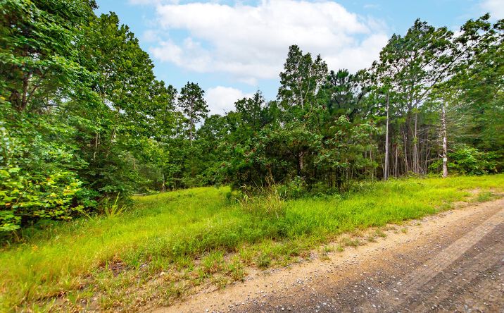 Pictures of Land property located at Long Branch, Clinton, AR 72031 for sales - image #1