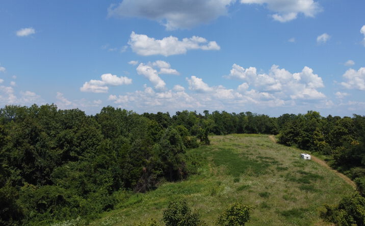 Pictures of Land property located at 0 Bulgar Tapp Road, Florence, IN 47020 for sales - image #1