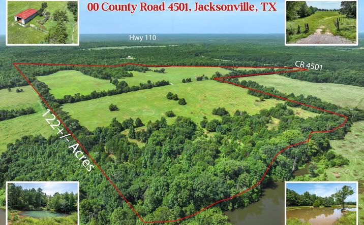 Pictures of Land property located at 00 County Road 4501, Jacksonville, TX 75766 for sales - image #1