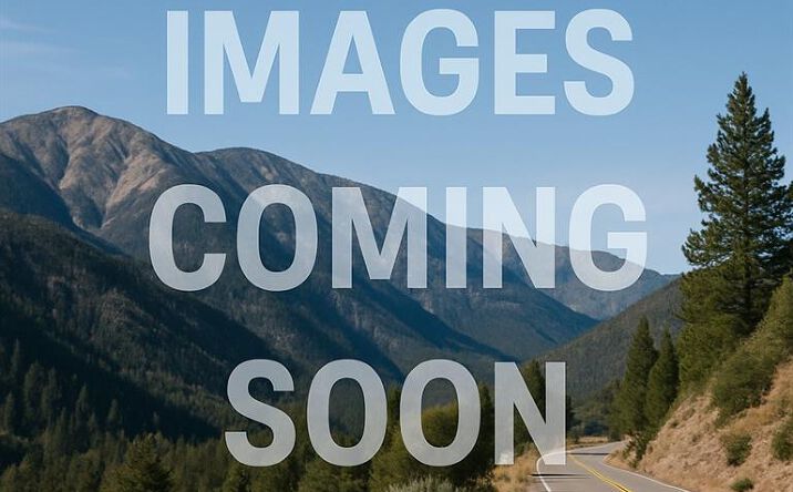 Pictures of Land property located at Highway 38, Angelus Oaks, CA 92305 for sales - image #1