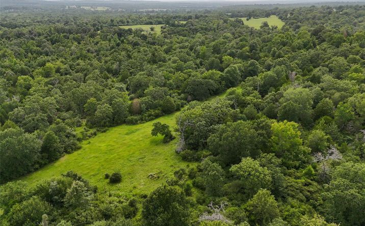 Pictures of Land property located at 225 Private Road 2026, Buffalo, TX 75831 for sales - image #1