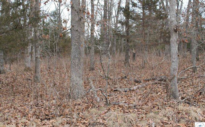 Pictures of Land, Special Purpose property located at Winarsky, Edwards, MO 65326 for sales - image #1