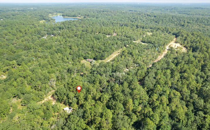 Pictures of Land property located at 40 Scotsdale St, Lumberton, MS 39455 for sales - image #1