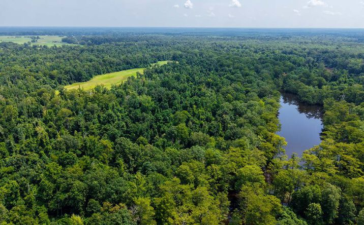 Pictures of Land property located at Black Lake Retreat, Banks, AR 71631 for sales - image #1
