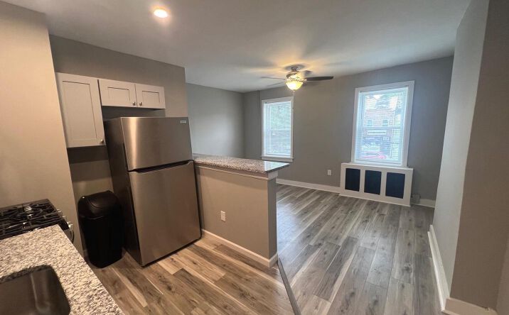 Pictures of Retail, Multifamily, Office, Mixed Use property located at 120 W Girard Ave, Philadelphia, PA 19123 for sales - image #1
