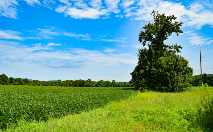 Pictures of Land property located at 8924 Highway 431 South, Owens Cross Roads, AL 35763 for sales - image #1