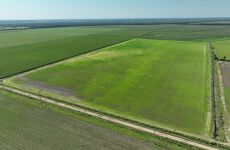 26413456