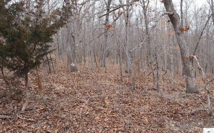Pictures of Land, Special Purpose property located at Bogardus, Edwards, MO 65326 for sales - image #1
