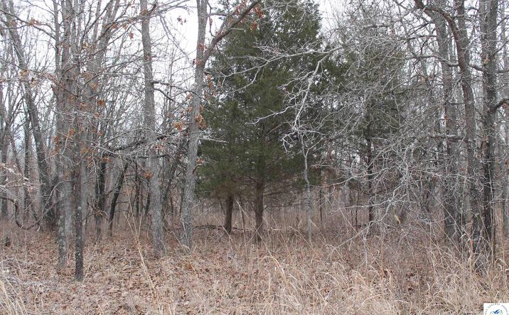 Pictures of Land, Special Purpose property located at Ritchie, Edwards, MO 65326 for sales - image #1