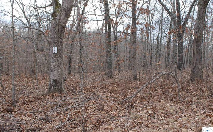 Pictures of Land, Special Purpose property located at Ferro, Edwards, MO 65326 for sales - image #1