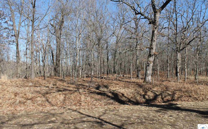 Pictures of Land, Special Purpose property located at Dunn, Edwards, MO 65326 for sales - image #1
