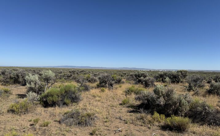 Pictures of Land property located at Tl 700 S Quincy Road, Lawen, OR 97720 for sales - image #1
