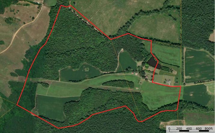 Pictures of Land property located at 9891 Baskerville Rd, Baskerville, VA 23915 for sales - image #1