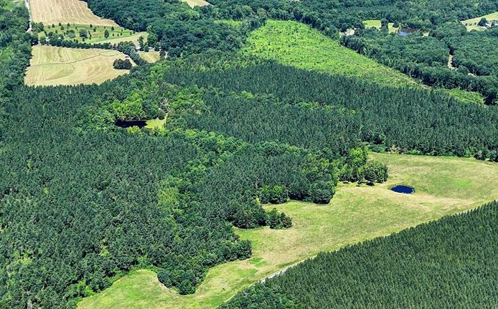 Pictures of Land property located at 1094 White Oak Forks Road, Virgilina, VA 24598 for sales - image #1