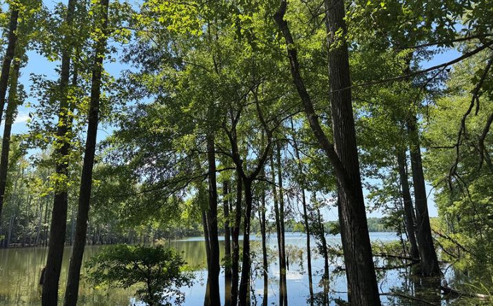 Pictures of Land property located at Parcel B Old School Road, Clarksville, VA 23927 for sales - image #1