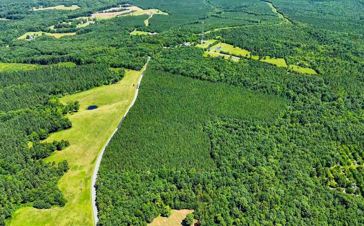 Pictures of Land property located at 1085 White Oak Forks Road, Virgilina, VA 24598 for sales - image #1