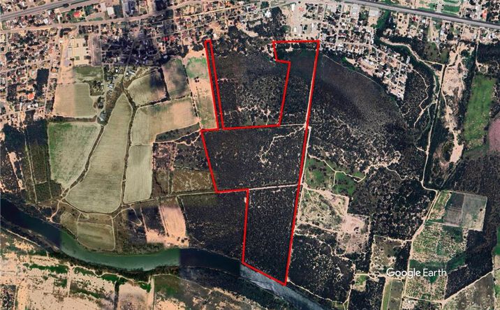 Pictures of Land property located at 000 Victor Road, Escobares, TX 78584 for sales - image #1