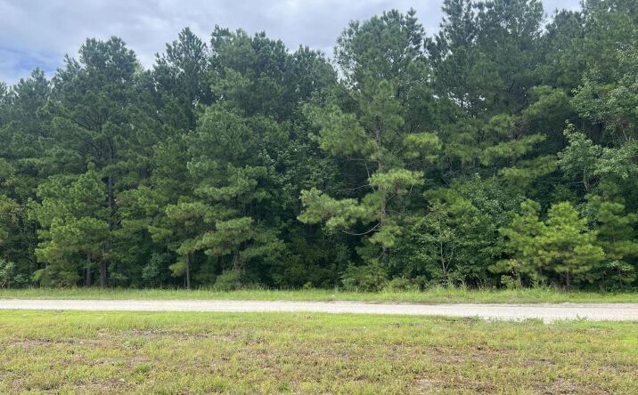 Pictures of Land property located at Herring Dr, Wyboo, SC 29102 for sales - image #1