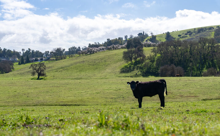 Pictures of Land property located at Creston Rd, Paso Robles, CA 93446 for sales - image #1