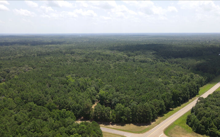 Pictures of Land property located at TBD CR 3889 FM 3129, Queen City, TX 75572 for sales - image #1