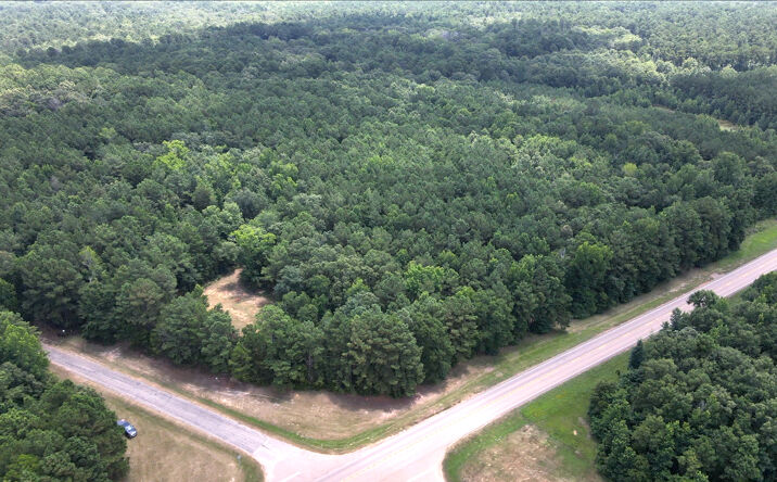 Pictures of Land property located at TBD CR 3889 FM 3129, Queen City, TX 75572 for sales - image #1