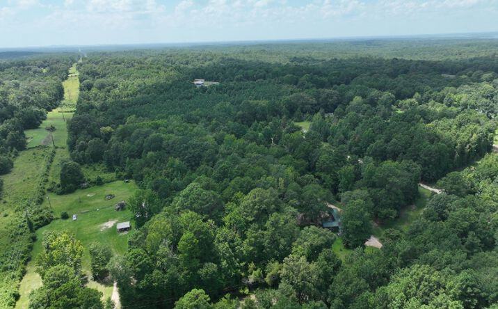 Pictures of Land property located at 3 ac TBD CR 3440, Atlanta, TX 75551 for sales - image #1