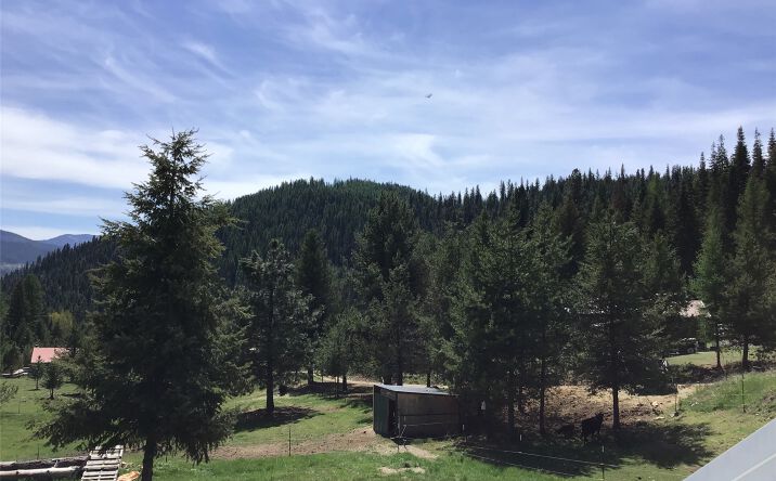 Pictures of Land property located at 360 Valley Drive, De Borgia, MT 59830 for sales - image #1