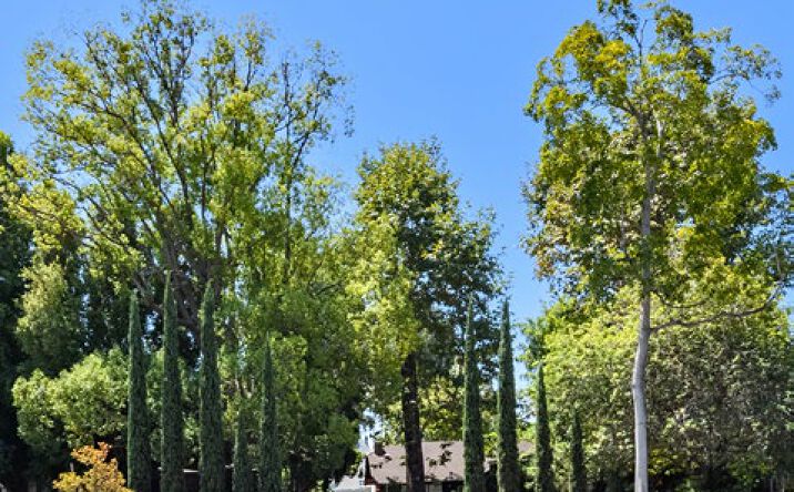 Pictures of Land property located at 5346 & 5352Franklin Ave, Los Angeles, CA 90027 for sales - image #1
