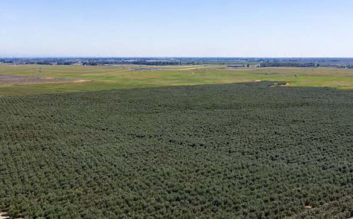 Pictures of Land property located at 20267 Simpson Rd, Corning, CA 96021, 6315 Rawson Rd, Corning, CA 96021, 5551 Burton Ave, Corning, CA 96021, 5391 Barham Ave, Corning, CA 96021, 4869 Orland Ave, Corning, CA 96021, 4900 Lobinger Ave, Corning, CA 96021 for sales - image #1