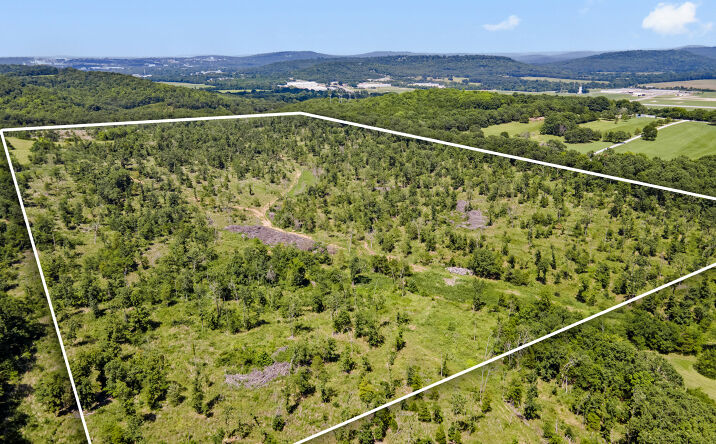 Pictures of Land property located at N Letitia Ave, Fayetteville, AR 72701 for sales - image #1