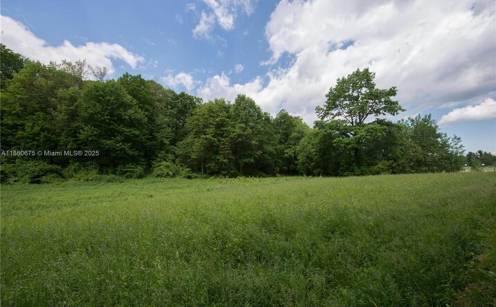 Pictures of Land property located at 15900 Ave SW 29 St, Miami, FL 33185 for sales - image #1