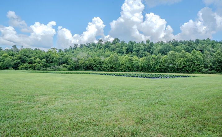 Pictures of Retail property located at 23200 Highway 64 W, Pulaski, TN 38478-8439 for sales - image #1