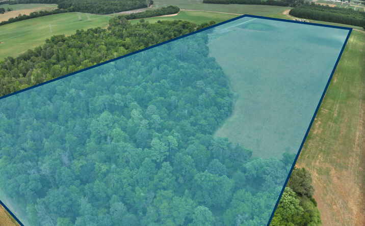 Pictures of Land property located at 9303 Fennell Rd, Tanner, AL 35671 for sales - image #1