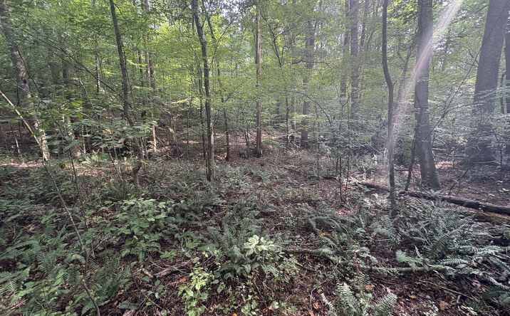 Pictures of Land property located at 9160 Union Hill Road, Canton, GA 30115 for sales - image #1