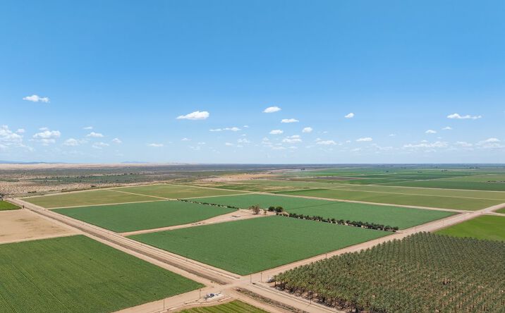 Pictures of Land property located at Young and Kaiser Roads, Calipatria, CA 92233 for sales - image #1