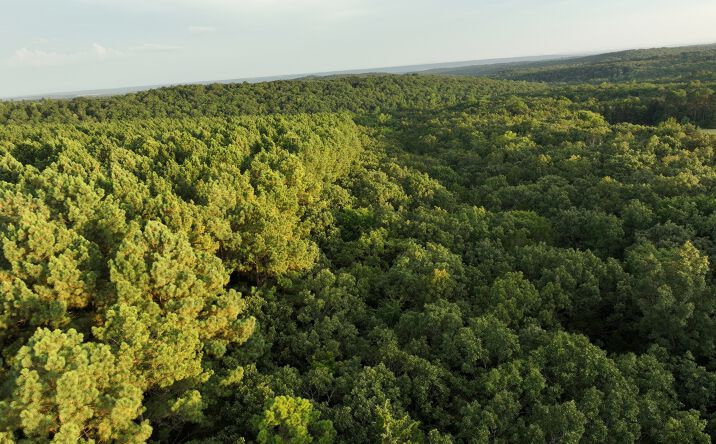 Pictures of Land property located at 12140 County Line Rd, Mulberry, AR 72947 for sales - image #1