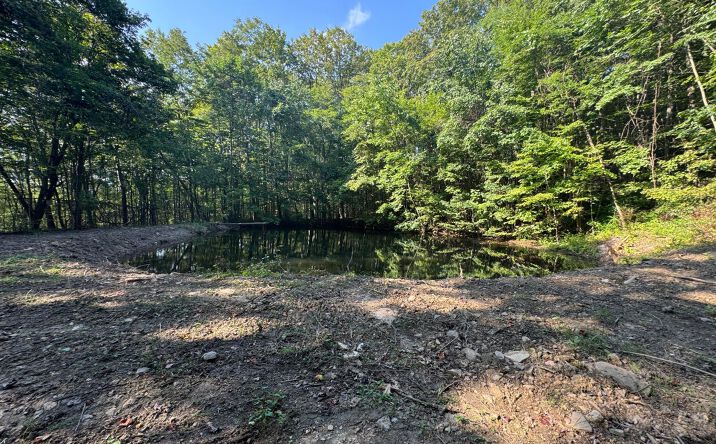 Pictures of Land property located at 0 Gallitzin (Robbins St) Rd, Gallitzin, PA 16641 for sales - image #1