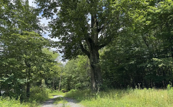 Pictures of Land property located at 0 Highland Heights Ln, Patton, PA 16668 for sales - image #1