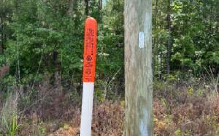 Pictures of Land property located at Lot L Old Edgefield Road, Ninety Six, SC 29666 for sales - image #1